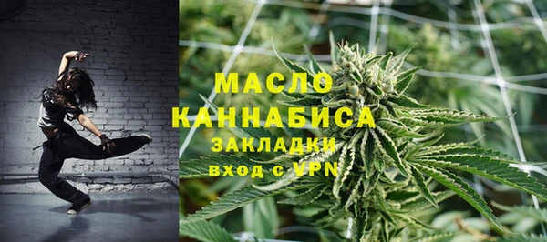 крисы Бронницы