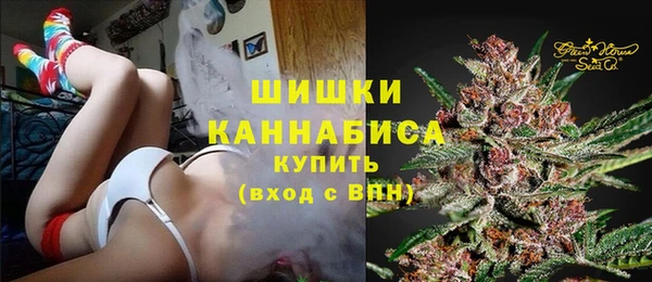 стаф Богданович