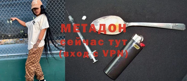 ГАЛЛЮЦИНОГЕННЫЕ ГРИБЫ Бородино