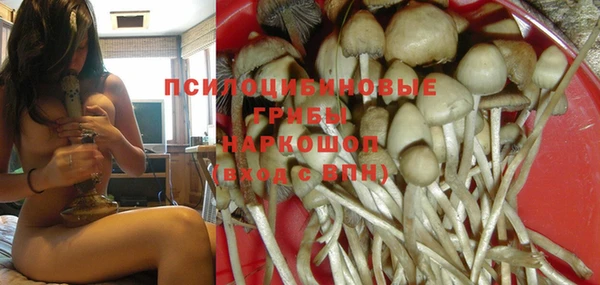 ГАЛЛЮЦИНОГЕННЫЕ ГРИБЫ Бородино
