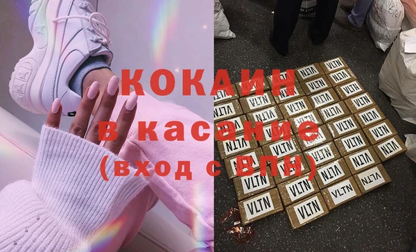 ГАЛЛЮЦИНОГЕННЫЕ ГРИБЫ Бородино