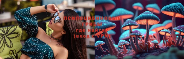 прущая мука Богородицк